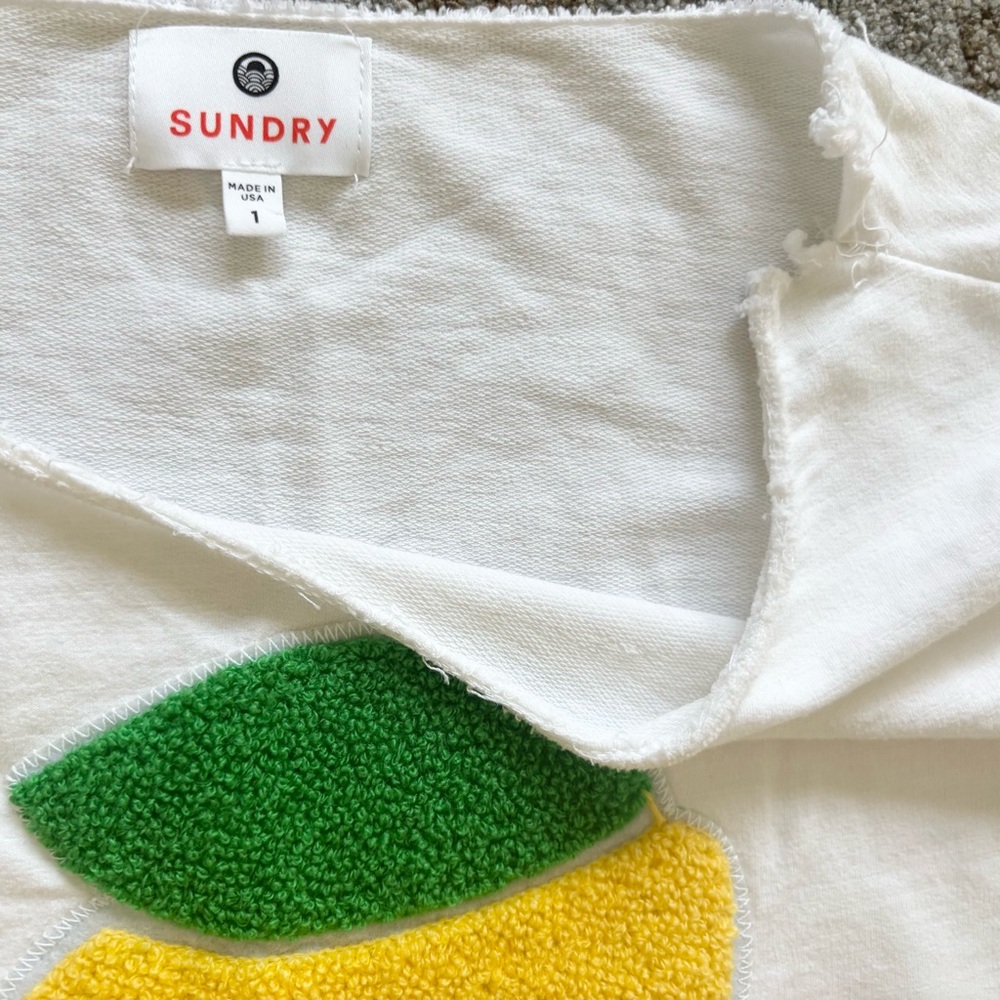 Sundry Lemon Graphic Long Sleeve Customized Tee Size 1/Small Novelty Fun Summer - Picture 4 of 9